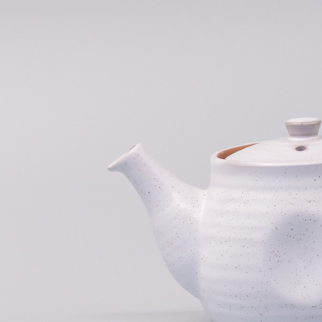 Teapot 300ml Speckled White Glaze