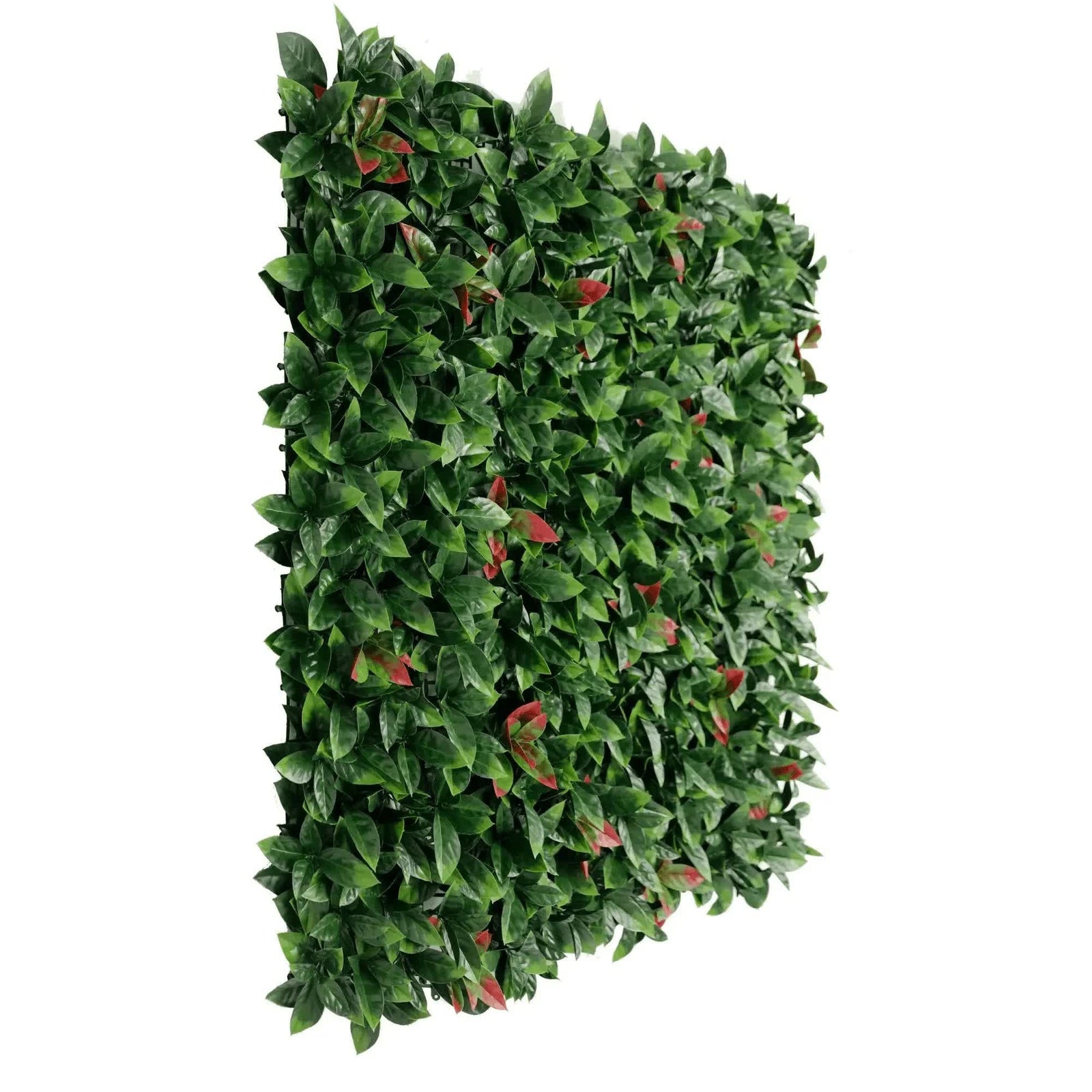 Photinia (Red Robin) Hedge Leaf Screens / Panels UV Resistant 1m x 1m