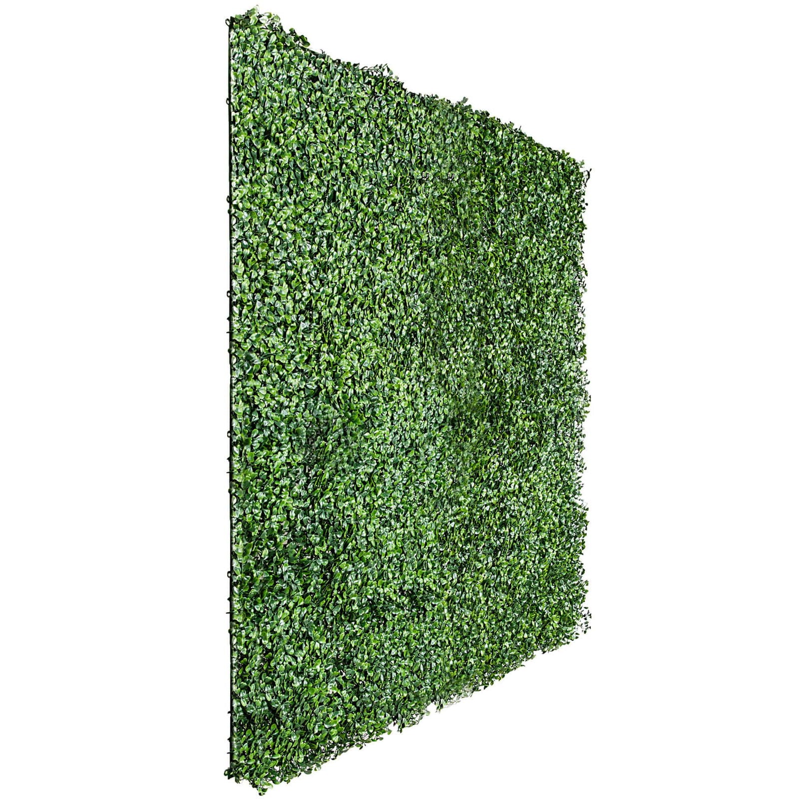 Boxwood Hedge Screen Green Wall Panel UV Resistant 100cm x 100cm