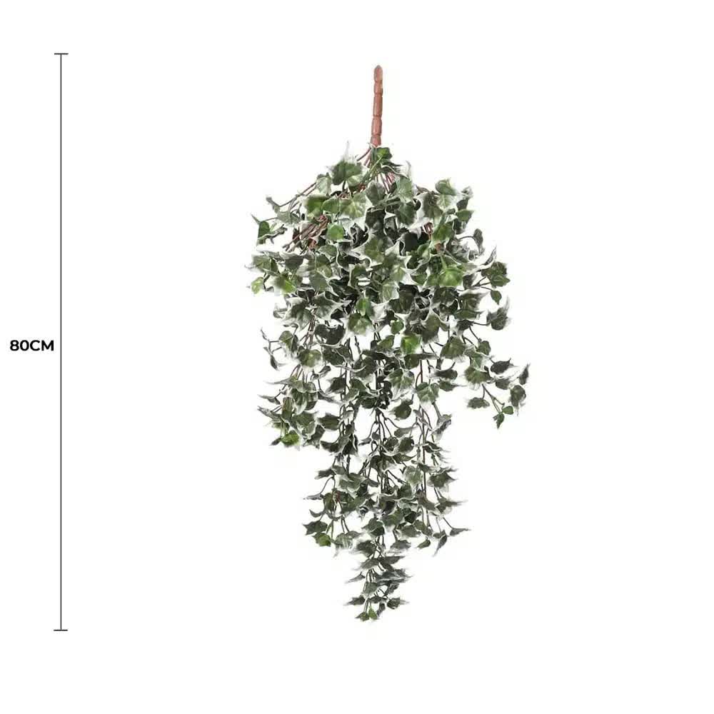 Mixed Green and White Tipped Ivy Bush 80cm UV Resistant