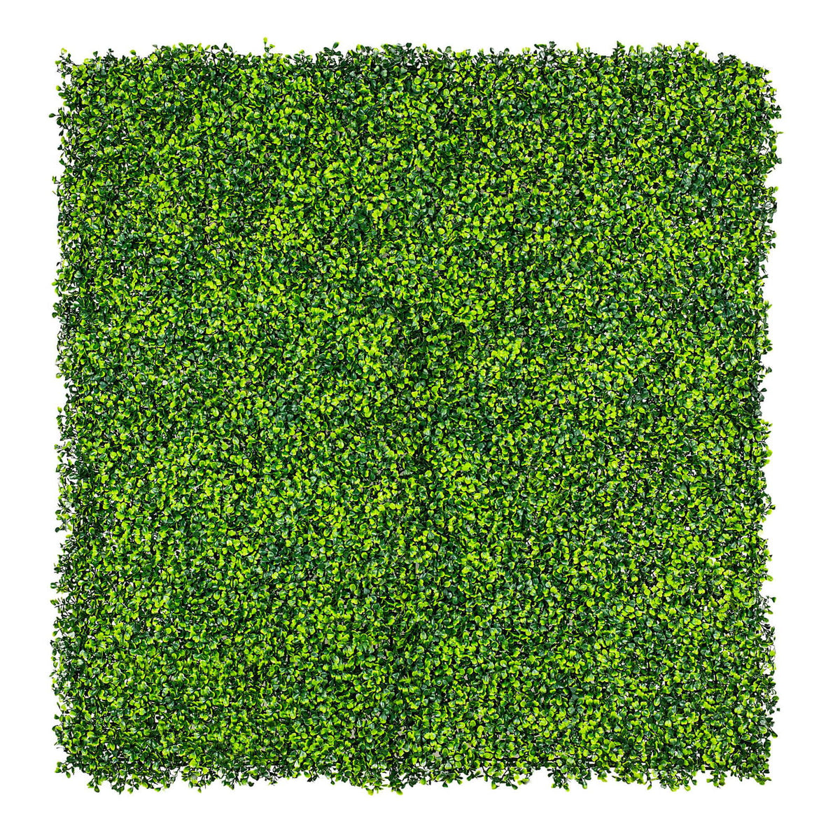 Mixed Boxwood Hedge Panels / Screens UV Resistant 1m X 1m