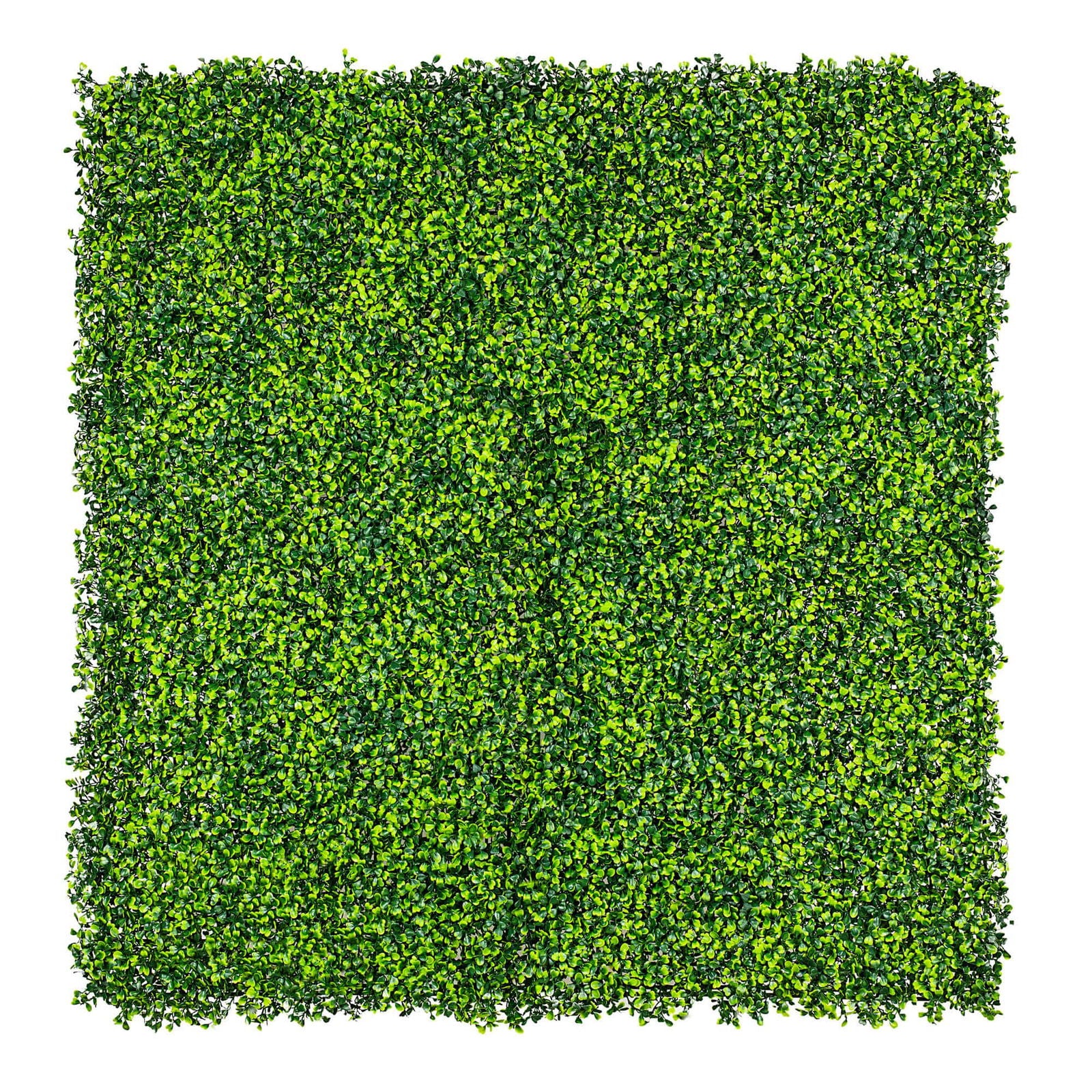 Mixed Boxwood Hedge Panels / Screens UV Resistant 1m X 1m
