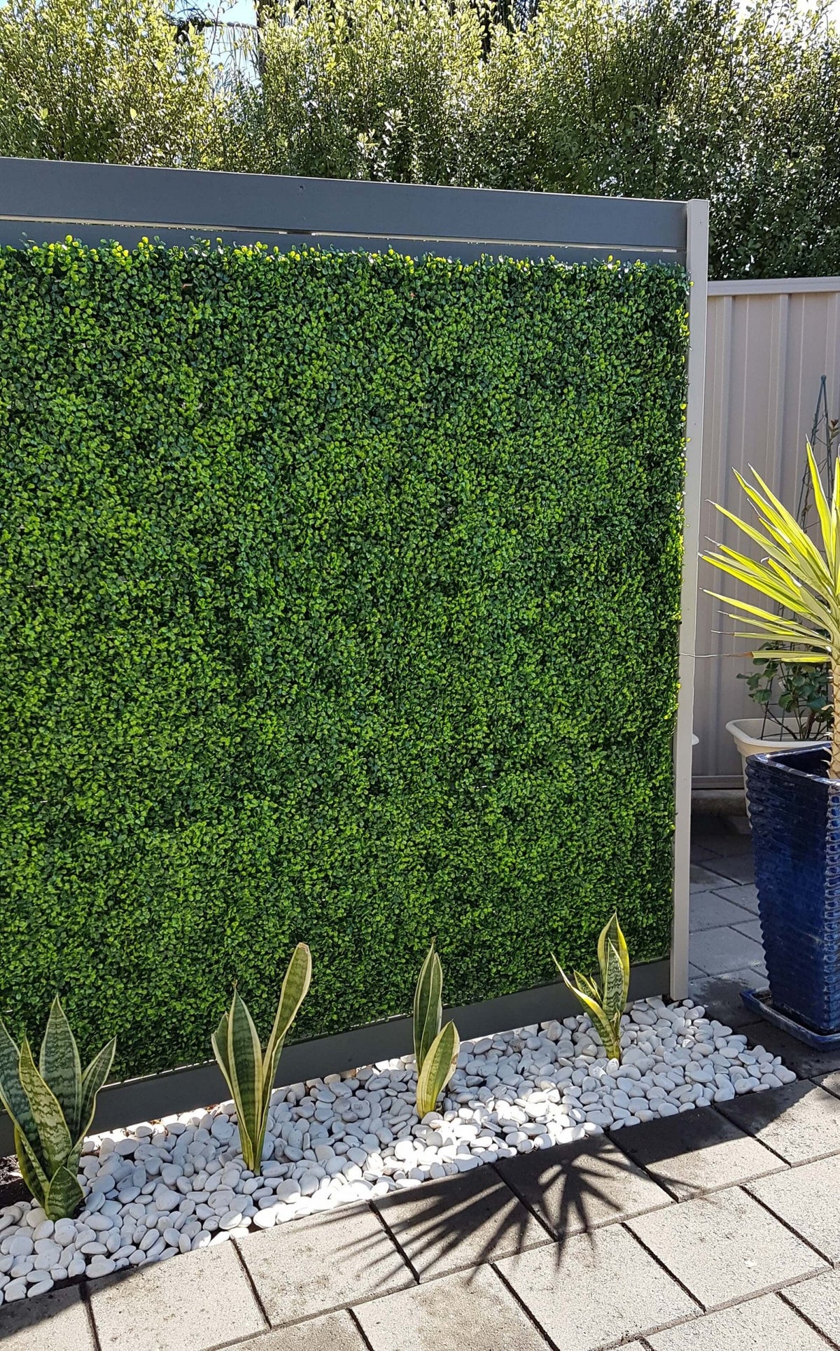Mixed Boxwood Hedge Panels / Screens UV Resistant 1m X 1m