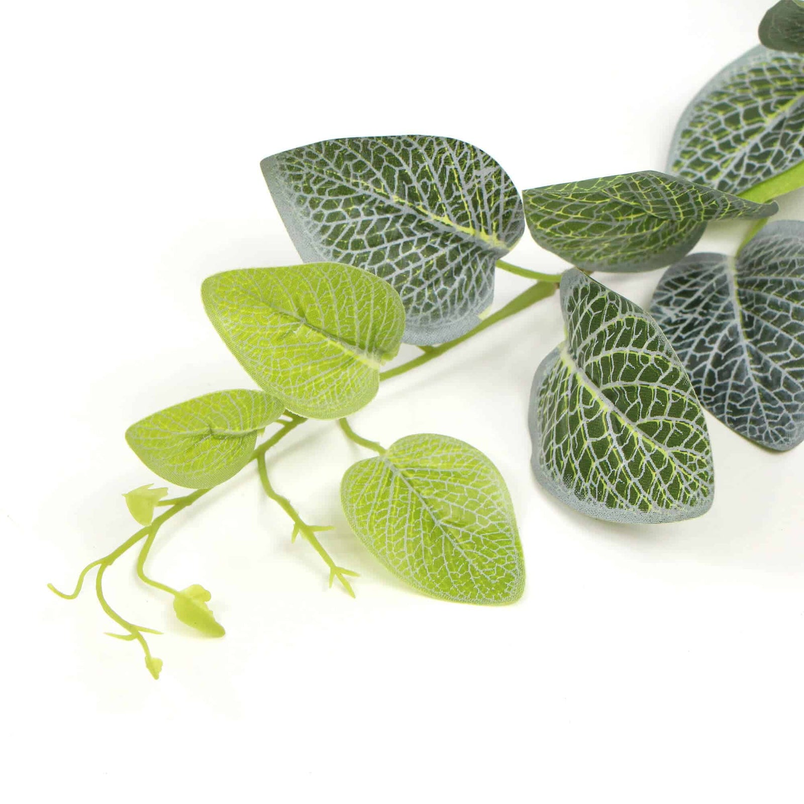 Artificial Fittonia Garland 190cm