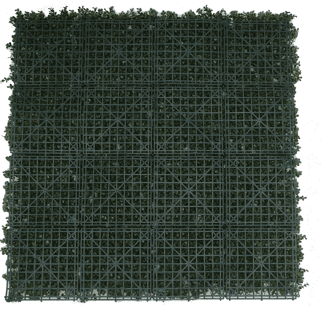 Premium Natural Buxus Hedge Panels UV Resistant 1m X 1m