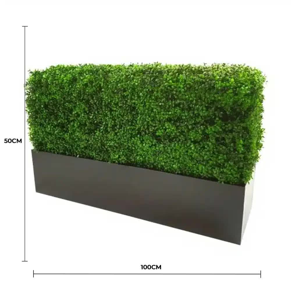 Luxury Deluxe Portable Buxus (Bright) UV Resistant 100cm Long x 50cm High x 25cm Wide