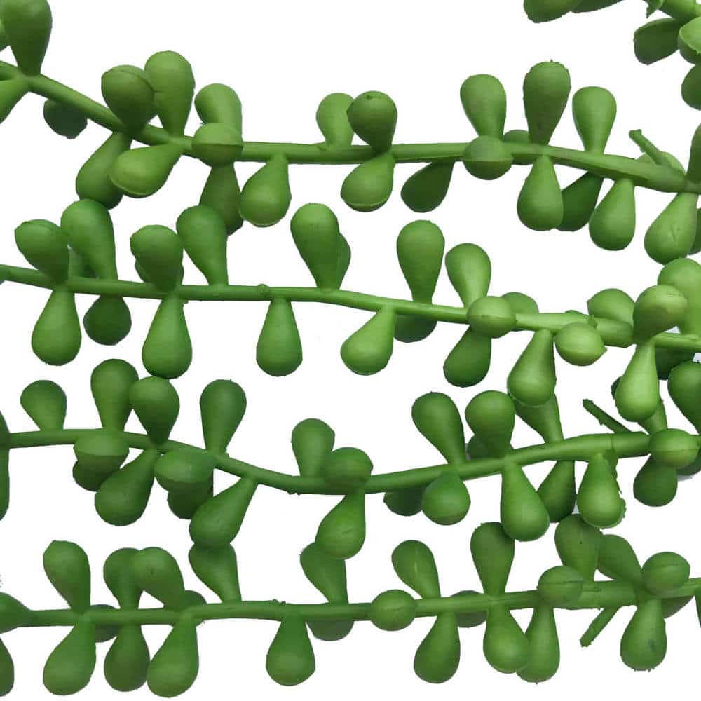 Hanging Succulent String Of Pearl Beads 75cm