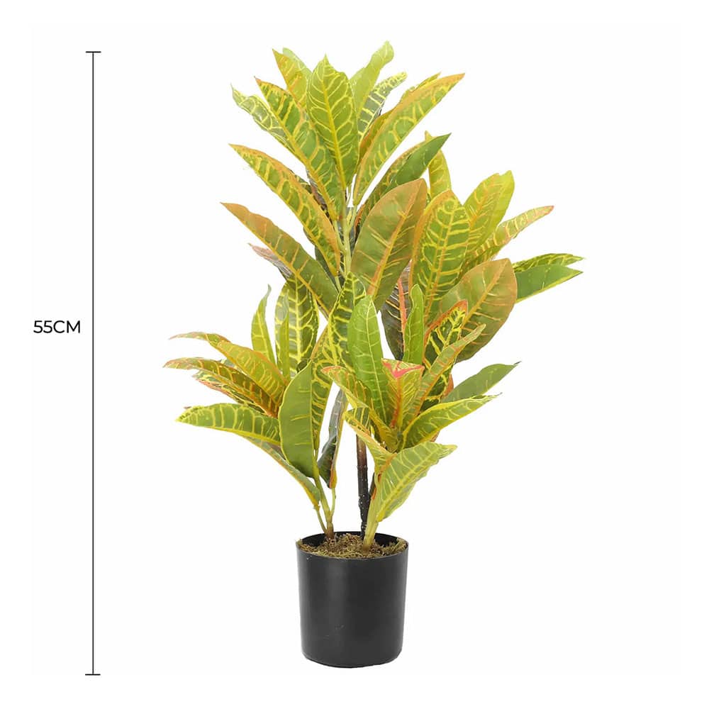 Artificial Potted Flaming Zebra (Codiaeum variegatum / crotons) 55cm
