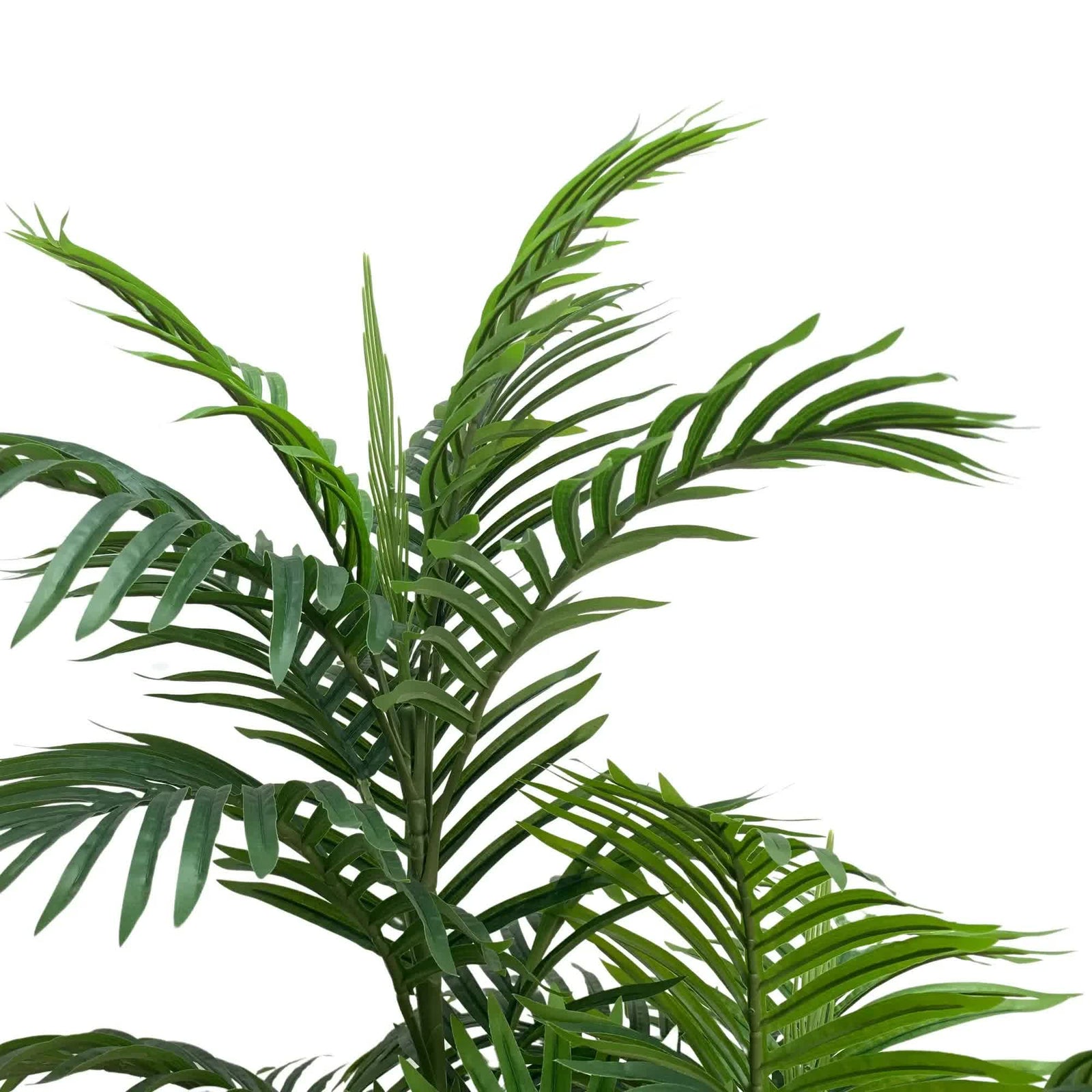 Premium Artificial Potted Multi-trunk Fan Palm 180cm