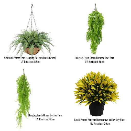 Hanging Basket, Ferns, and Small Potted Plant Bundle