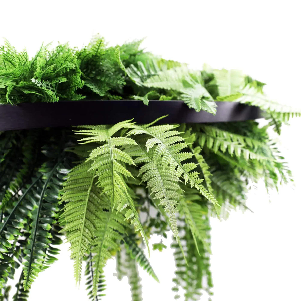 Black Artificial Hanging Green Wall Disc 80cm UV Resistant