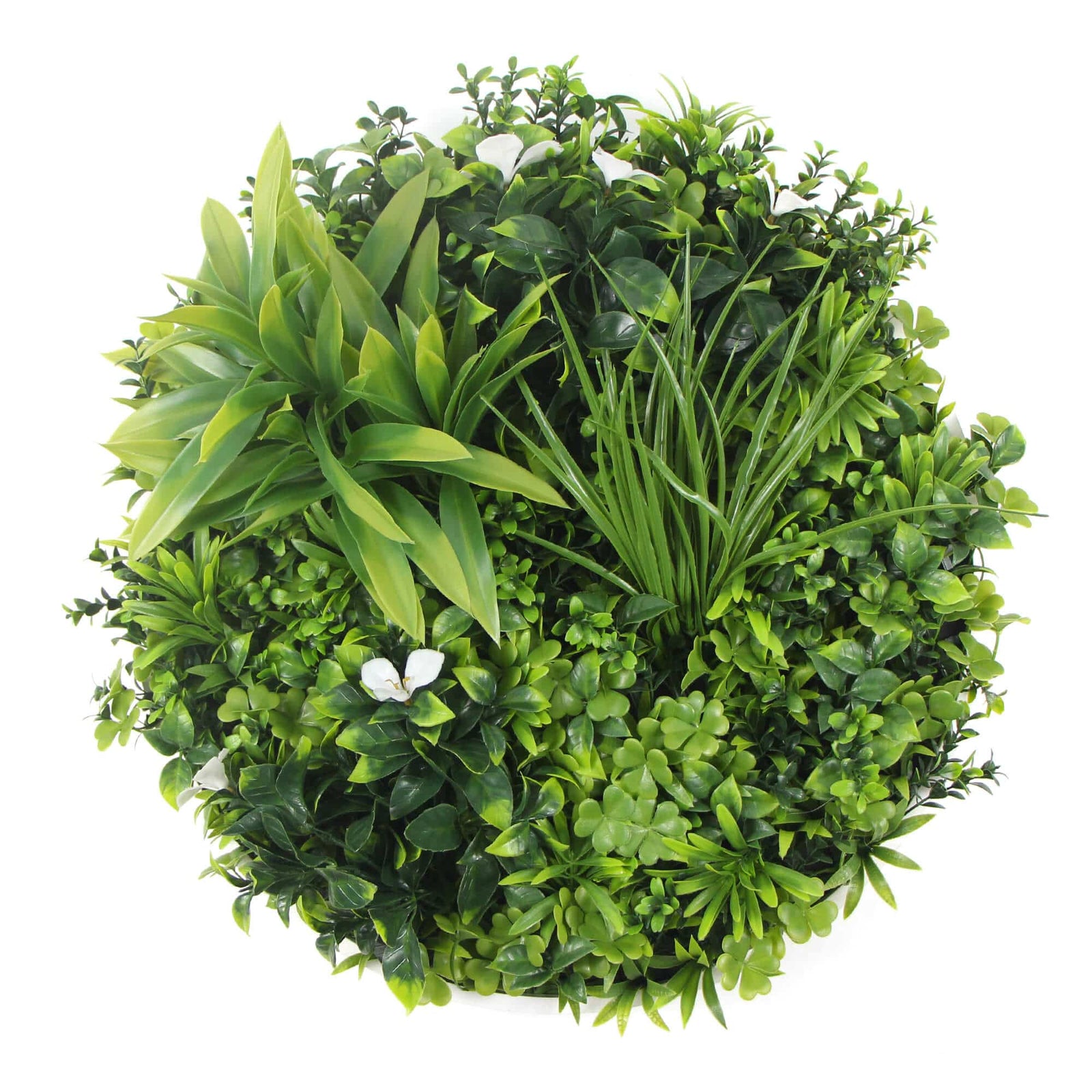 Two Flowering White Green Wall 50cm Discs and Six Flowering Stems Bundle