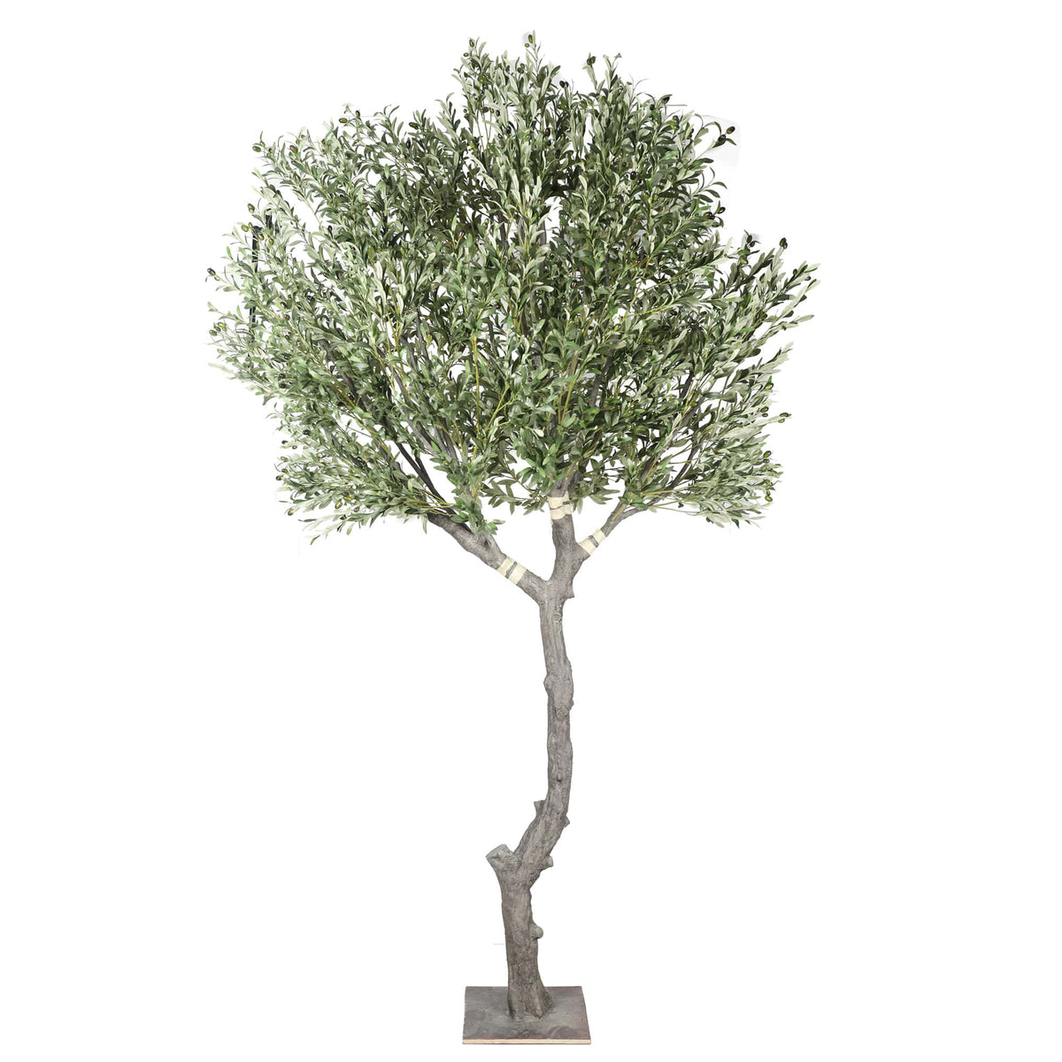 Nearly Natural Extra Large Olive Tree with Olives 285cm