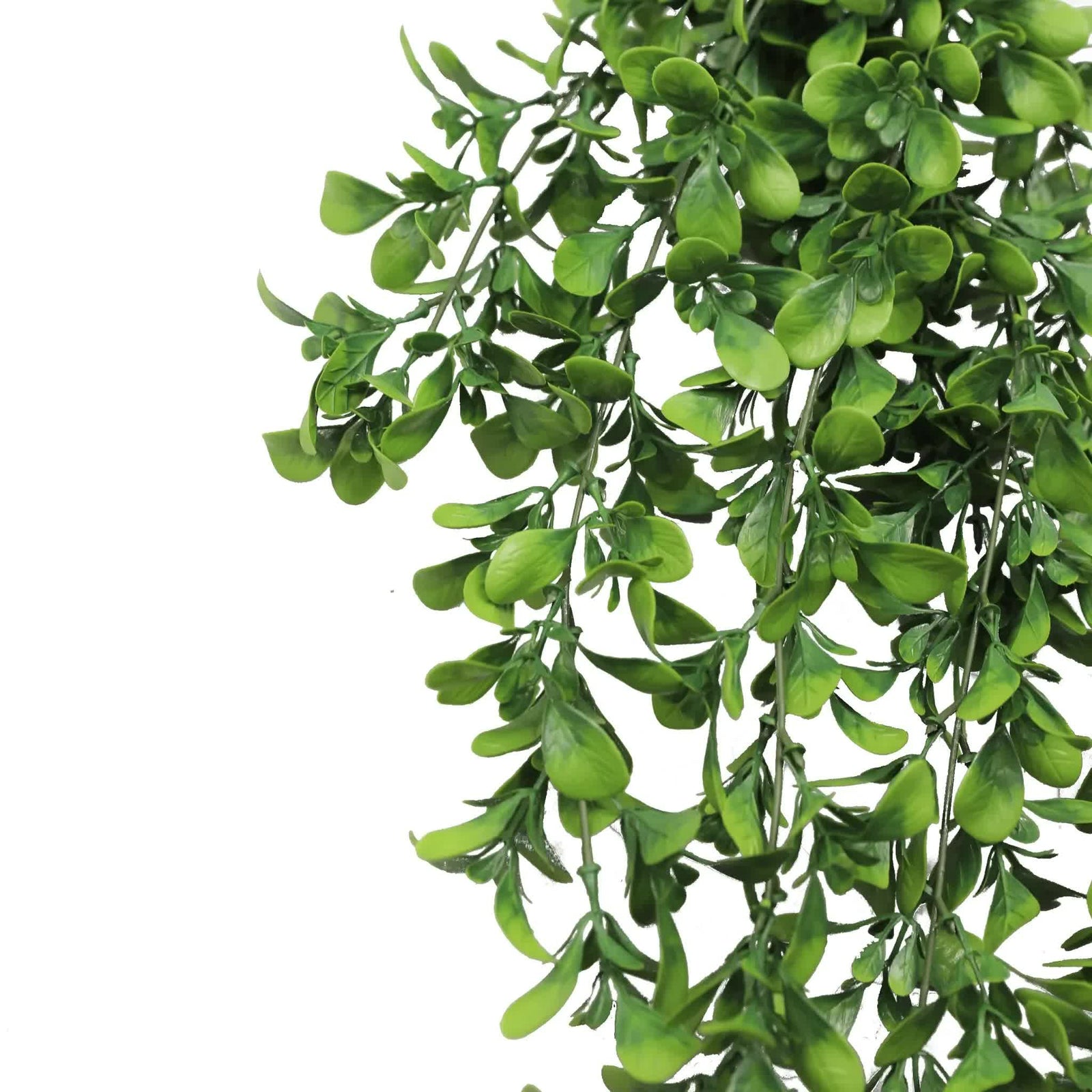 Artificial Creeping Fig Garland Bush UV Resistant and Fire Rated 18cm x 76cm