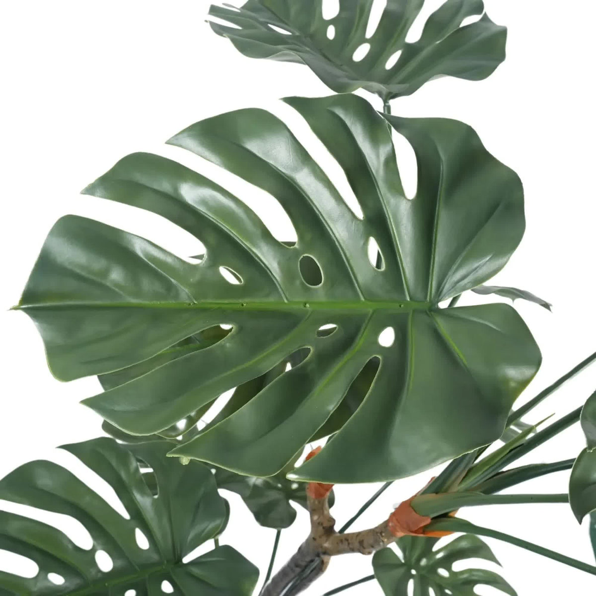 Premium Potted Monstera Split Leaf 150cm UV Resistant
