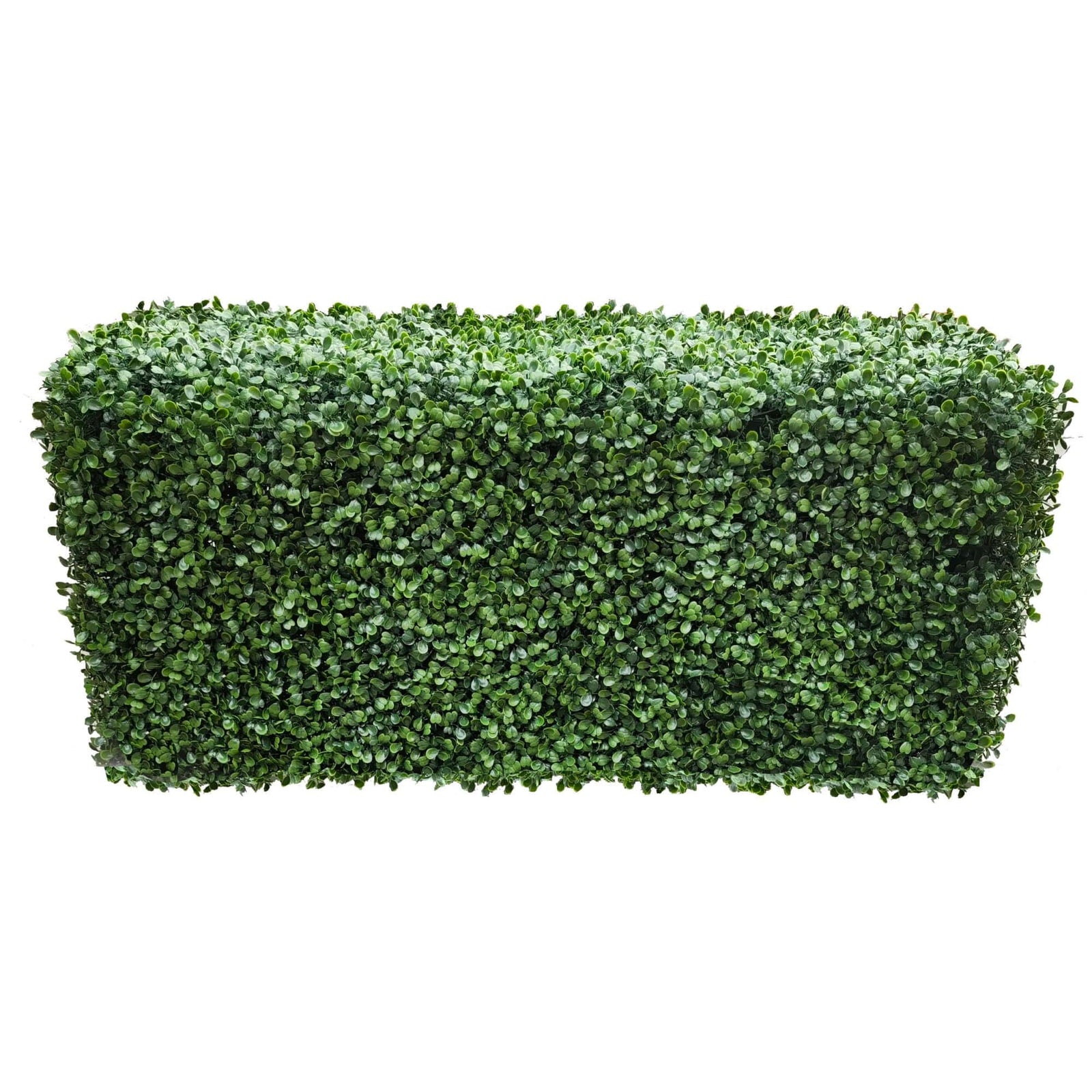 Portable Boxwood Hedge UV Resistant 100cm Long x 50cm High