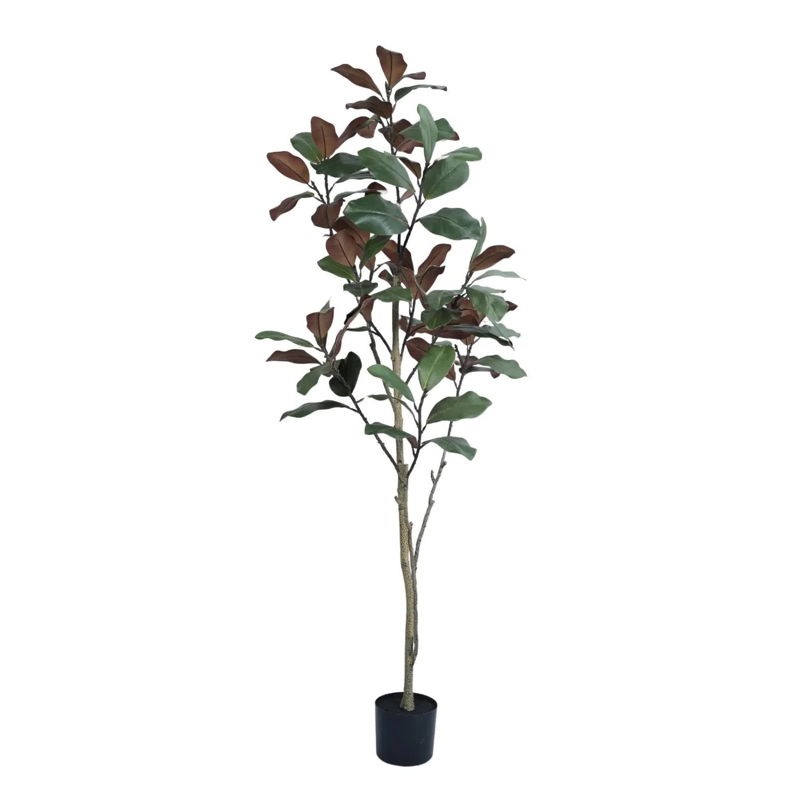 Potted Artificial 180cm Magnolia Tree