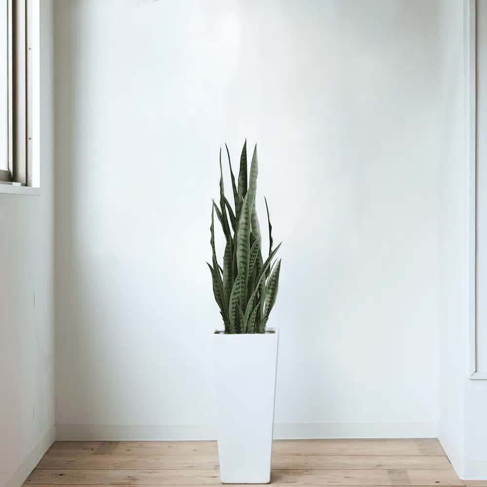 Artificial Snake Plant Sansevieria UV Resistant 90cm