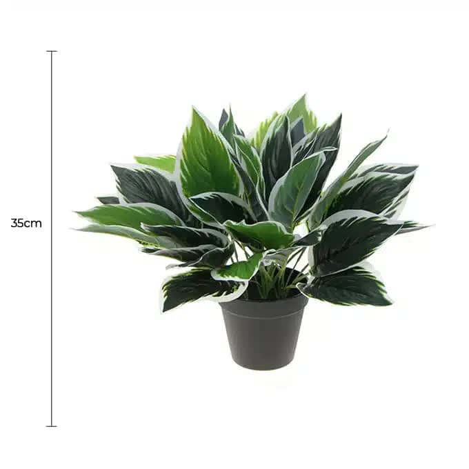 Dense Potted Artificial Calathea Plant 35cm