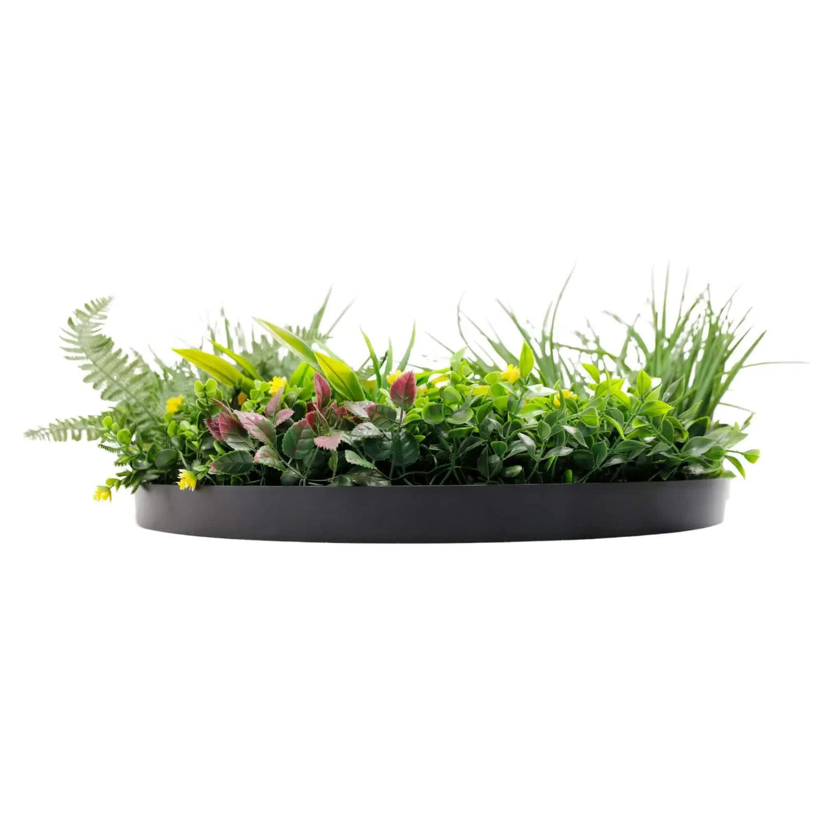Slimline Artificial Green Wall Disc Art 60cm Country Fern UV Resistant (Black)