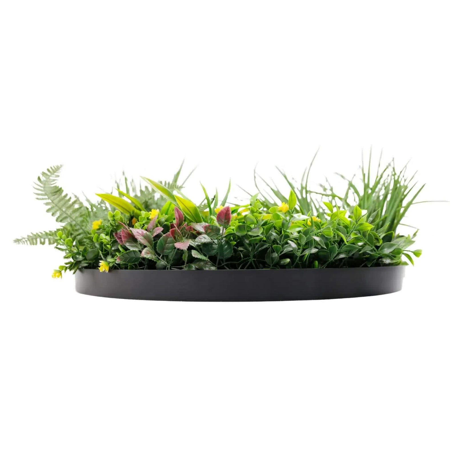 Slimline Artificial Green Wall Disc Art 60cm Country Fern UV Resistant (Black)