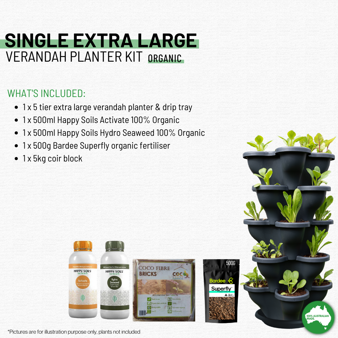 Single 5 Tier Extra Large Verandah Planter Garden Kit (Inc Coir, A &amp; B Nutrient and Bardee Superfly Organic Booster)  - Charcoal