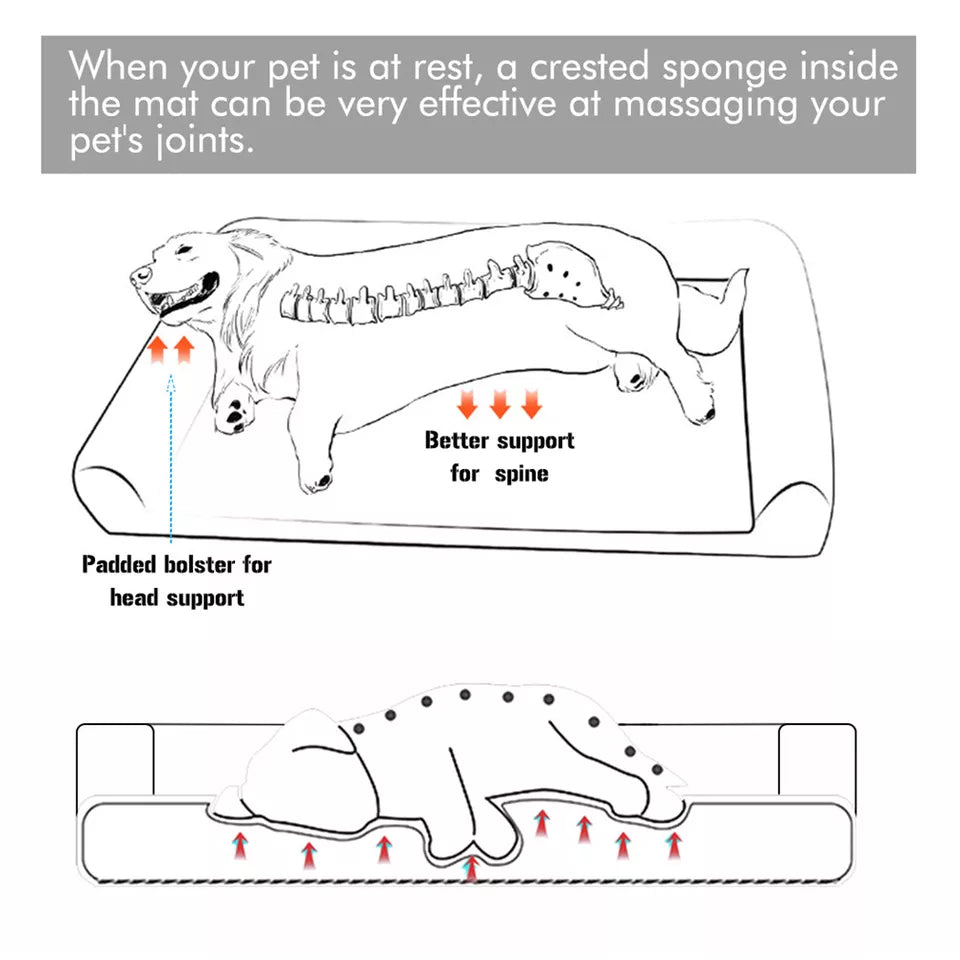 P&P Pet Cot with Bolster Support and Breathable Mesh Design for Dogs to Lounge