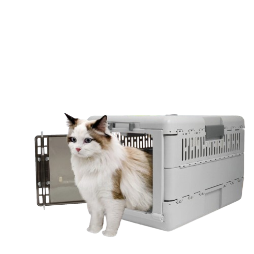 Portable Cat Travel Carrier Collapsible Plastic Kitten Pet Carry Crate