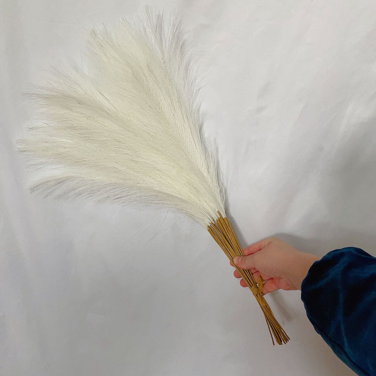 20 sticks Natural Milky white Pampas Grass Bouquet-21.65&quot; Fluffy Dried Pampas for Home Decor and Events