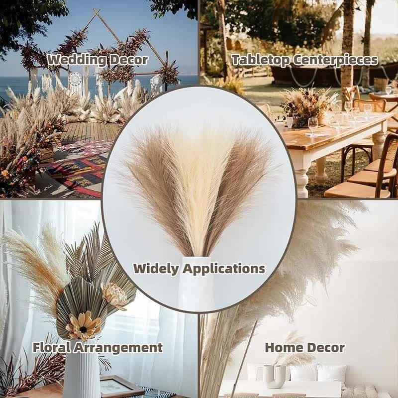 20 sticks Natural Milky white Pampas Grass Bouquet-21.65" Fluffy Dried Pampas for Home Decor and Events