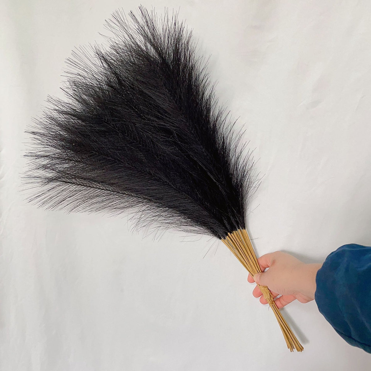 20 sticks Natural Black Pampas Grass Bouquet-21.65&quot; Fluffy Dried Pampas for Home Decor and Events