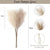 20 sticks Natural Lilac Pampas Grass Bouquet-21.65" Fluffy Dried Pampas for Home Decor and Events