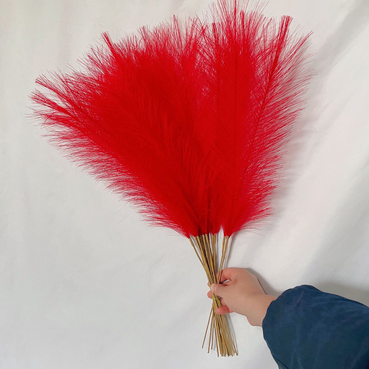 20 sticks Natural Red Pampas Grass Bouquet-21.65&quot; Fluffy Dried Pampas for Home Decor and Events