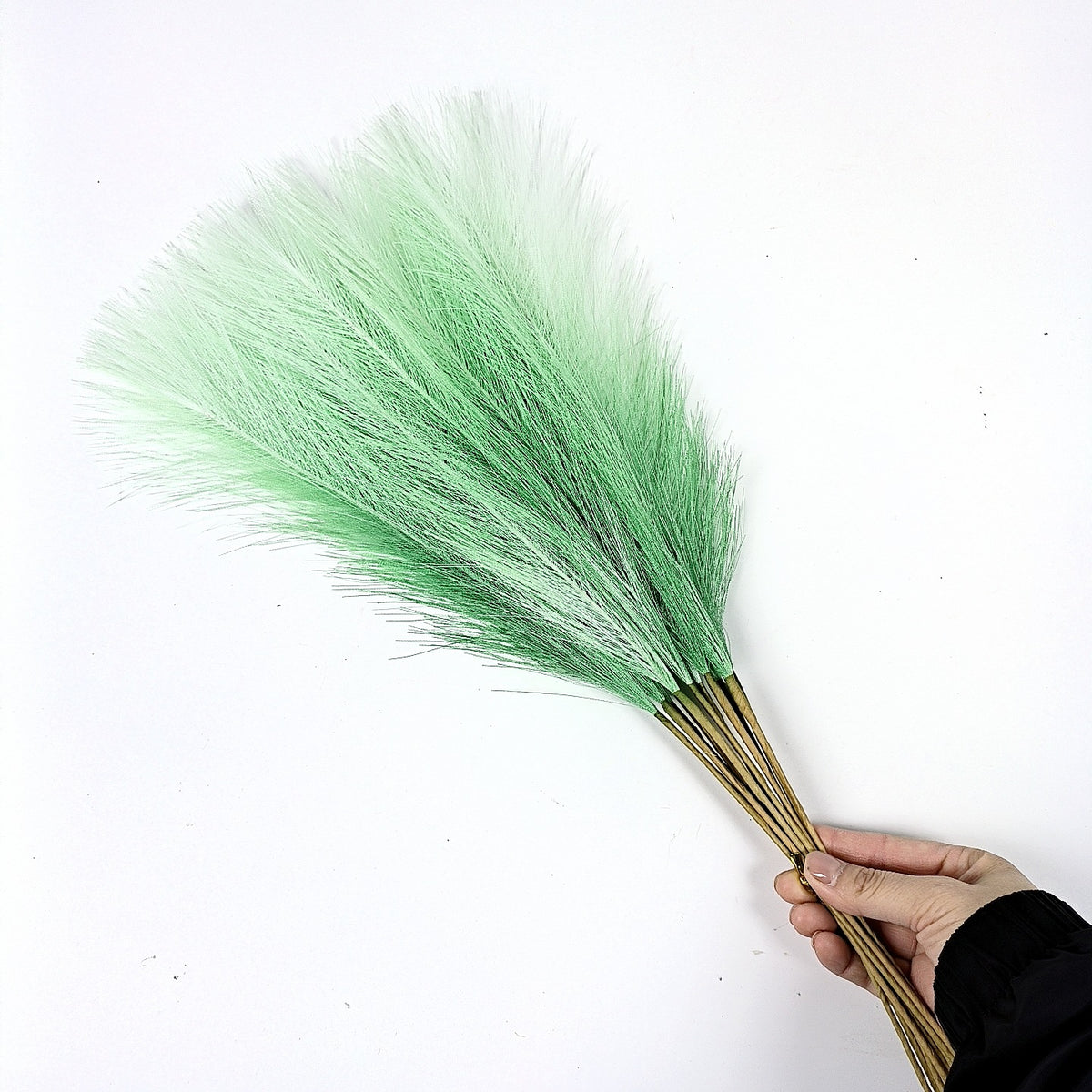 20 sticks Gradient green Pampas Grass Bouquet-21.65&quot; Fluffy Dried Pampas for Home Decor and Events