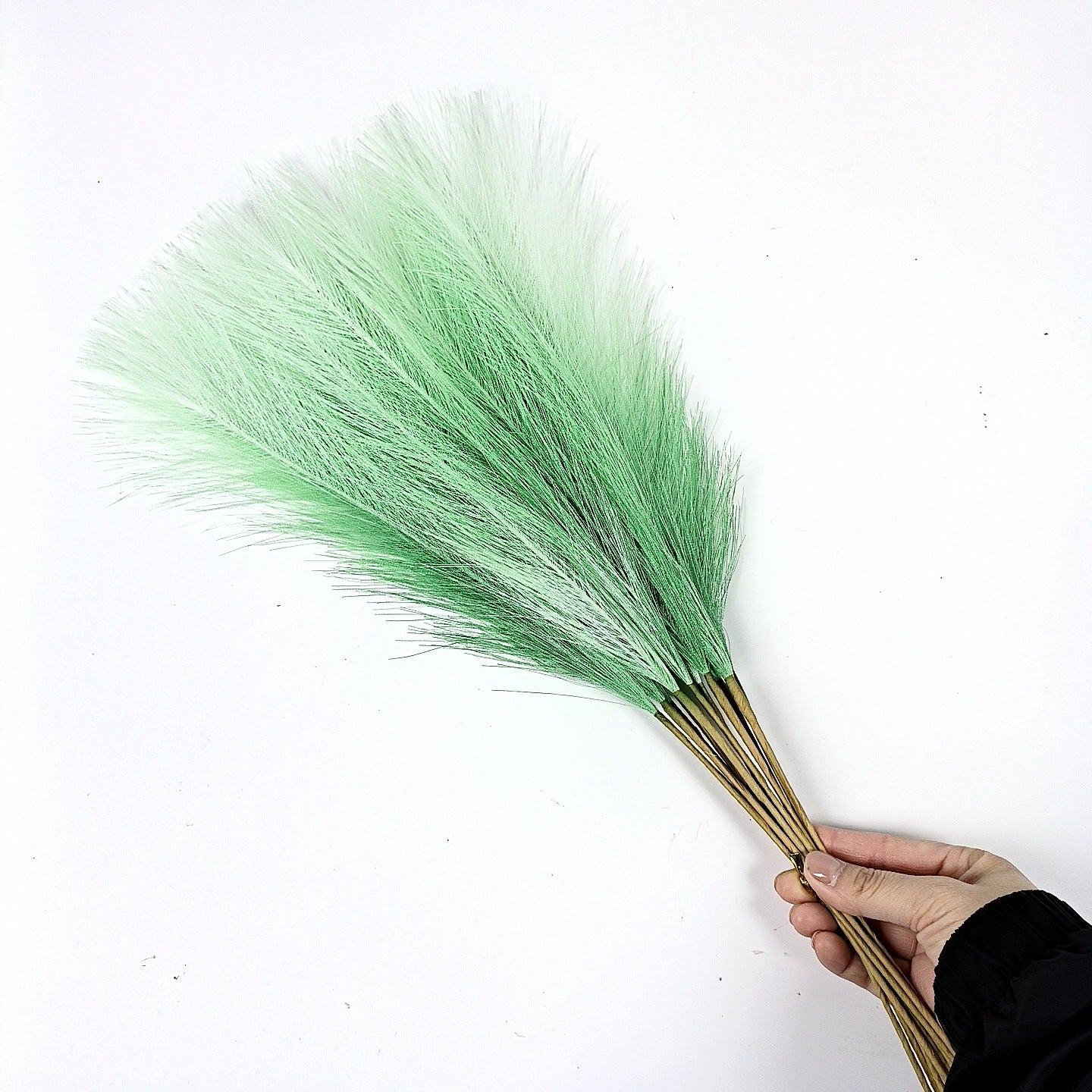 20 sticks Gradient green Pampas Grass Bouquet-21.65" Fluffy Dried Pampas for Home Decor and Events