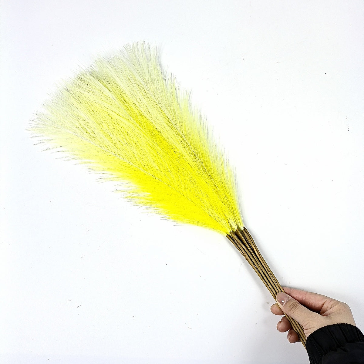 20 sticks Gradient yellow Pampas Grass Bouquet-21.65&quot; Fluffy Dried Pampas for Home Decor and Events