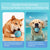 2PCS Blue Rechargeable Automatic Jumping Pet Toy Ball - Interactive Smart Play Ball for Dogs & Cats