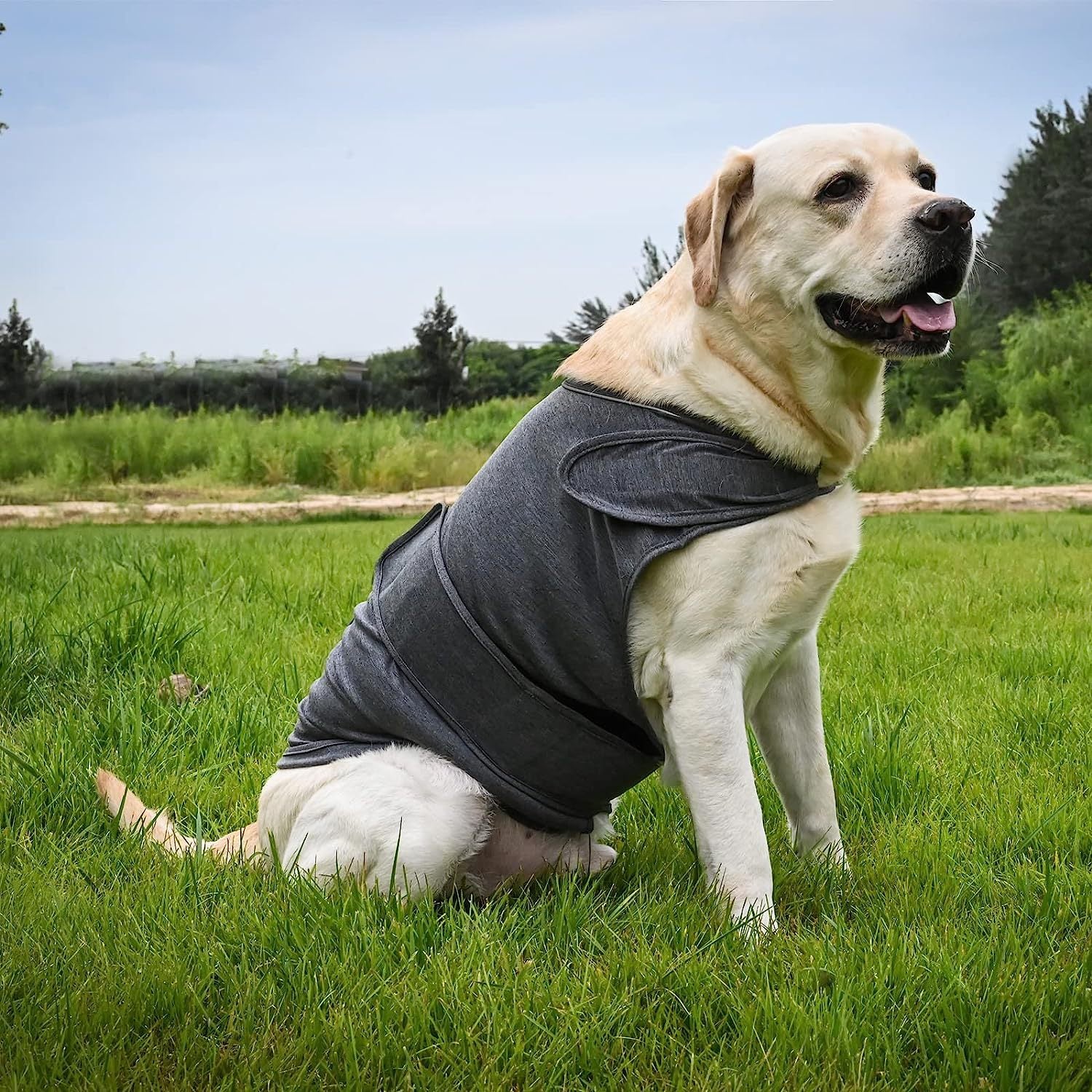 XS Dog Vest Jacket - Warm, Soft, and Comfortable Dog Coat for Winter, Calming and Insulating Dog Apparel