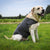 XS Dog Vest Jacket - Warm, Soft, and Comfortable Dog Coat for Winter, Calming and Insulating Dog Apparel