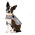 S Adjustable Autumn/Winter Dog Coat - Warm and Stylish Pet Jacket for Cold Weather, Comfortable and Customizable Fit