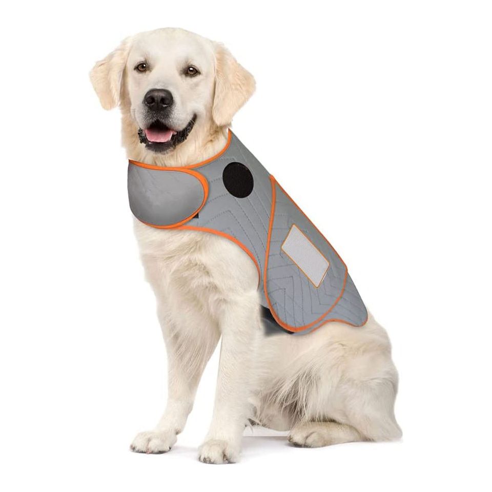 M Adjustable Autumn/Winter Dog Coat - Warm and Stylish Pet Jacket for Cold Weather, Comfortable and Customizable Fit