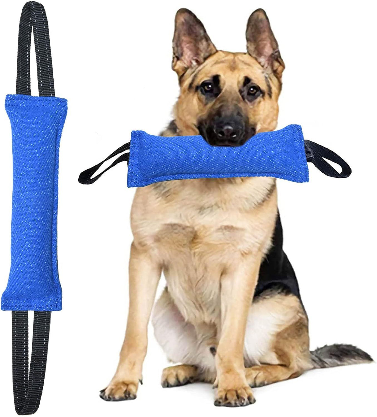Blue Durable 2-Pack Tug-of-War Dog Training Toy - Tear-Resistant, Safe &amp; Interactive for All Breeds