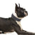 Size S Pink 1 pack Stylish PU Leather Dog Collar with Spikes - Adjustable, Durable & Comfortable for Medium to Large Breeds