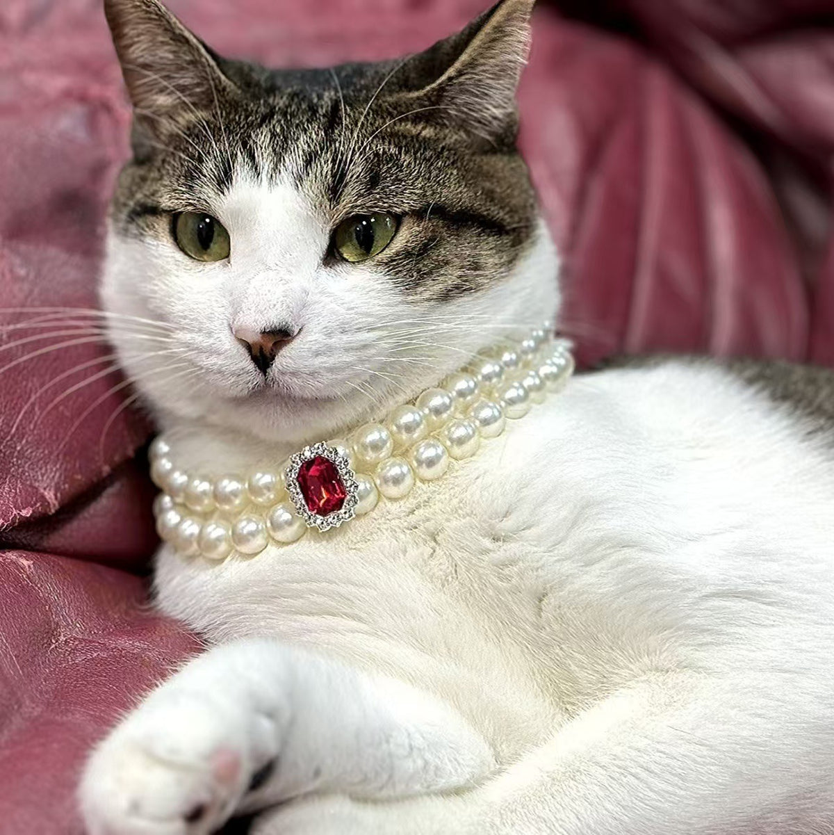 3-pcs Red Diamond  Double Strand Pearl &amp; Rhinestone Pet Necklace - Luxury Collar for Cats &amp; Dogs Size S (20-26CMCM)
