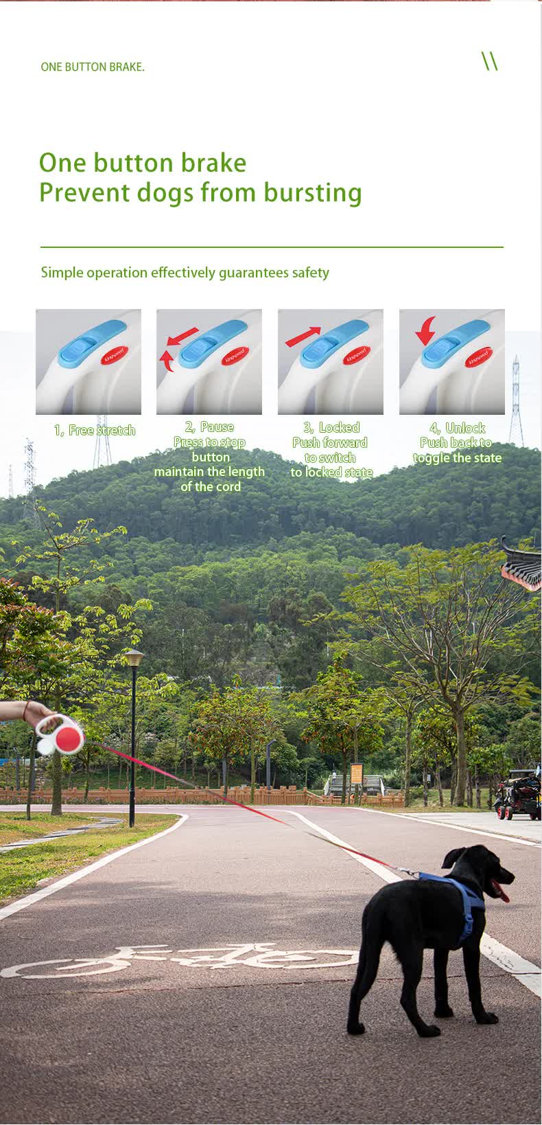 Light blue 5M Retractable Dog Leash - With Small Box, Suitable For Small And Medium Dogs