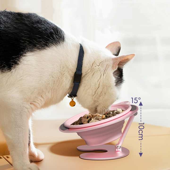 Purple Foldable Elevated Pet Bowl Set - Tilted Ergonomic Cat Feeder with Aluminum Stand & Silicone Bowl