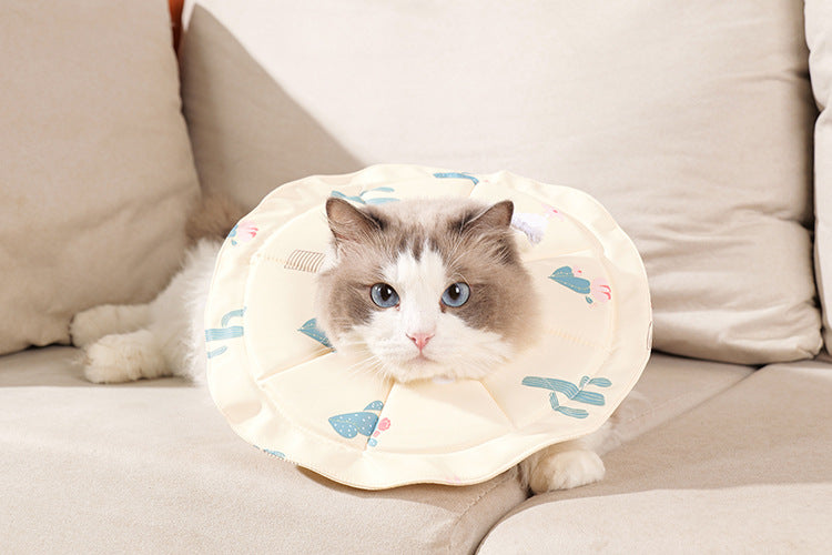 2 Pcs Size S Beige Comfortable Pet Recovery Collar | Waterproof Anti-Lick Collar for Cats &amp; Dogs