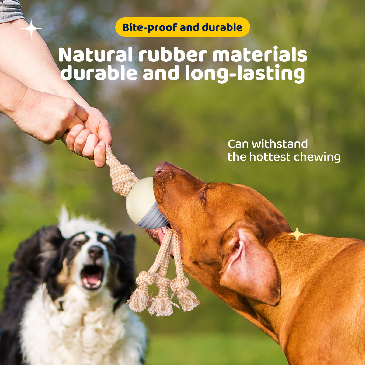 Durable Knot Rope and Ball Dog Toy - Interactive Chew and Tug Play for Pets