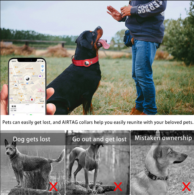 S Purple Secure Nylon Dog Collar with Built-in Apple AirTag (not included) Holder Case - Pet Tracker Accessory