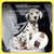 Grey Shock Absorbing Dog Leash with Reflective Stitching - 135cm for Small to Large Dogs